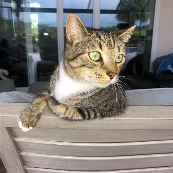 Meet your Posher, Debbie - Picture 1 of 1